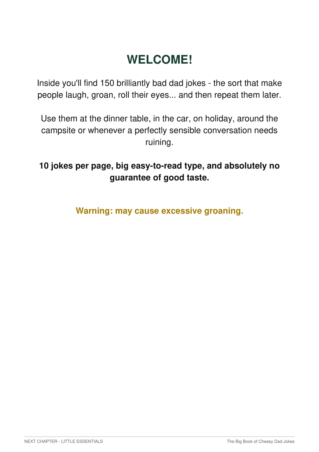 Cheesy Dad Jokes welcome page preview